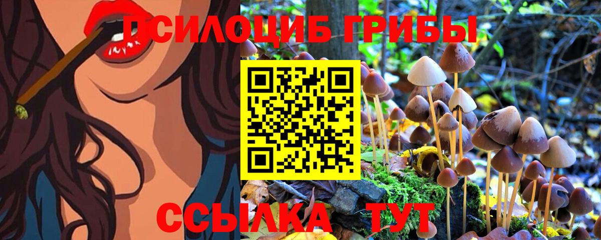 Псилоцибиновые грибы Cubensis  где найти   Абинск  Вход с VPN 